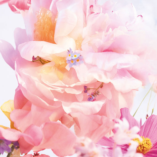 Christian Dior Miss Dior 花漾女士淡香水｜清新花調×持久留香 · 打造專屬浪漫記號💖